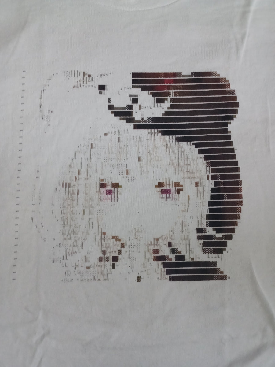 ₊˚ʚ ᗢ₊˚✧ ゚